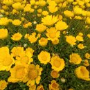 홍천중앙시장 이미지