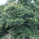 산수민박 이미지