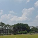 조양유치원 | 6월 월간 기록 | 부여 여행, 서울국제도서전, 강화도 여행, 그리고 도난 사건