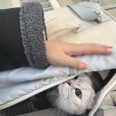 24시 해든동물의료센터 의정부점 이미지