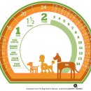 아프리카 동물의료센터 이미지