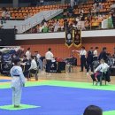 천마 태권도 이미지