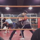 팀타이거복싱짐 이미지