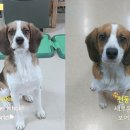 마리의디자인 이미지