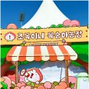도담동_싱싱장터1호점 | 2025 세종 조치원 복숭아축제 후기