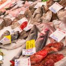 영어조합법인 바다의 아침 이미지