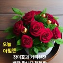 달콤한인생 Daum카페
