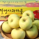 새재의아침 이미지