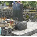 무명농장 이미지