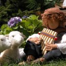 상지유치원 이미지