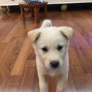 뉴대구사우나 | 제목 소재 고갈중 (그냥 일상 기록 및 여행)