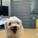 복사골공원 이미지