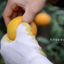샘하우스 이미지