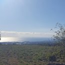 진하목장 이미지