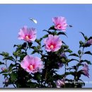 홍익생활건강 이미지