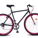 세종우체국 이미지