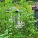 동명산소 이미지