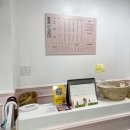 살롱드미미즈 이미지