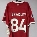 브래들리 이미지