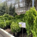 대림가든 이미지