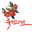 다모아주
