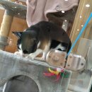 리더스병원 화장실 이미지