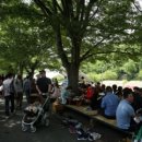 죽림3로가로수 Daum카페