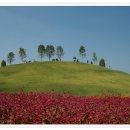 빛고운
