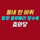 짬뽕자장우동 | 동네한바퀴 밀양 수제 춘장 짜장면 짬뽕 블루베리 탕수육 맛집 | 효와당 위치 메뉴 가격 정보