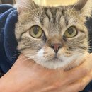 하누동물병원 이미지