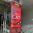 가족 뮤지컬 어린이 캣 | 가족뮤지컬 오리지널 어린이 캣