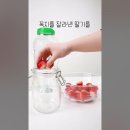 금나라 이미지