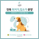 로얄펫 강아지분양 고양이분양 전주본점 | 전주 로얄펫에서 강아지와 고양이 분양 추천 이유