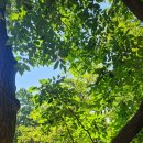 원터6길 5 이미지