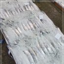 9월 21일(월) 목포는항구다 생선카페 판매생선[ 먹갈치(중대,5미), 참조기, 병어(3단, 40미) / 예약 흰다리새우 ] 이미지
