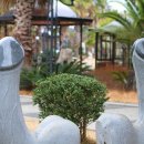 건강과성박물관 제주 이미지