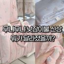 자연소재 | 무냐무냐 낮잠이불 신상 달라진 점은? 모달 소재·두께·크기 후기