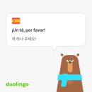듀오링고 스페인어 10일차, 섹션1 유닛 1~3