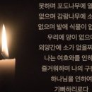 오늘식탁