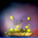 성도교역 이미지