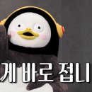 창앤데코