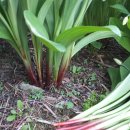 종명농장 이미지