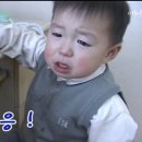 응도