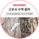 용오름마을 이미지