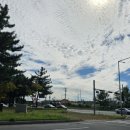 동울산교회 앞 이미지