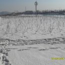 한강 자전거도로8 이미지