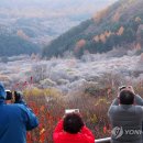 비밀의정원 이미지