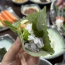 수성뽈락 이미지