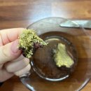 철이네문구 | 대구 만땅커피 두바이 쫀득쿠키 원물맛 그대로 솔직후기