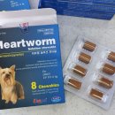 중앙시장동물약국 이미지